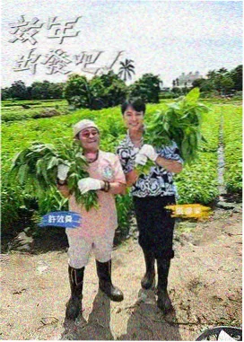 在线电影免费观看-王牌对王牌